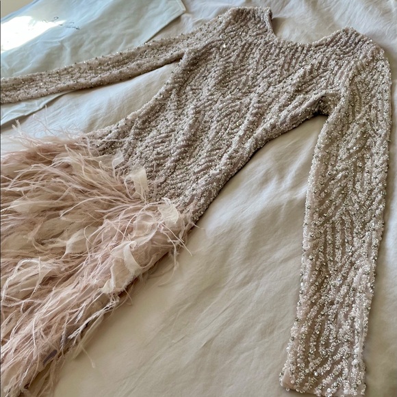 Pink Swan Dress - Picture 1 of 8